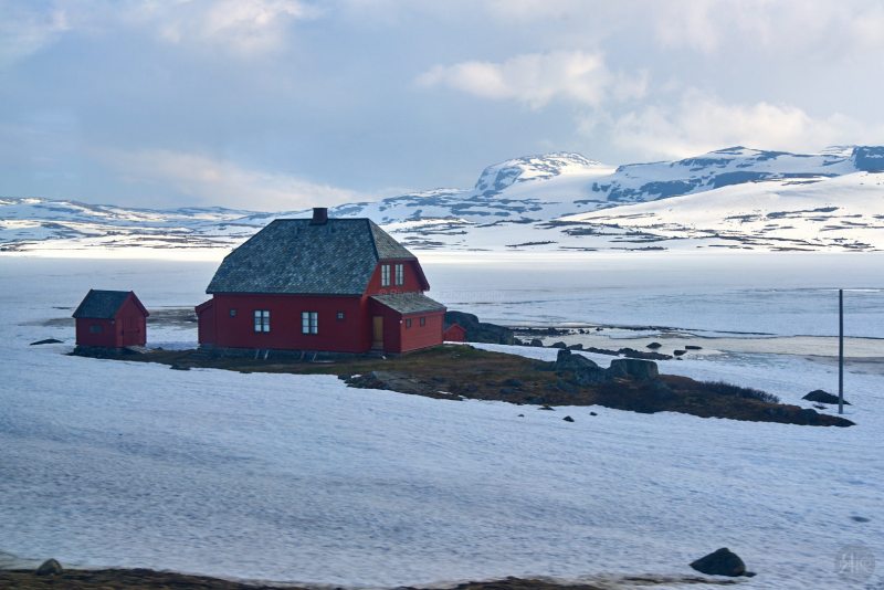 RK_160607_A7RII_102976 RK_160607_A7RII_102976