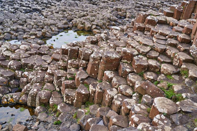 RK_180510_A7RIII_007044