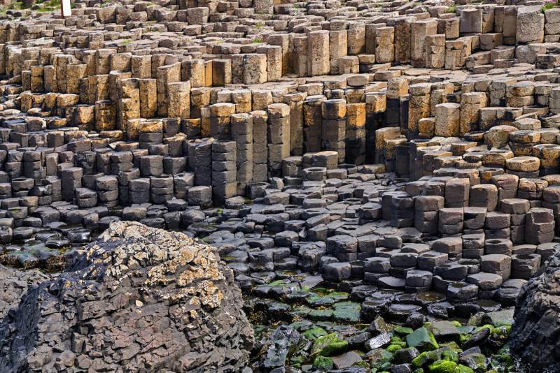 RK_180510_A7RIII_007065