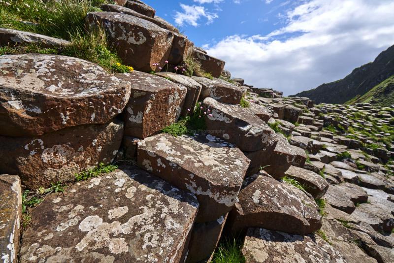 RK_180510_A7RIII_007094