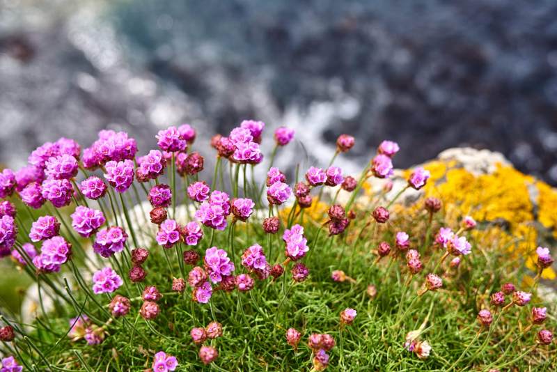 RK_180510_A7RIII_007201