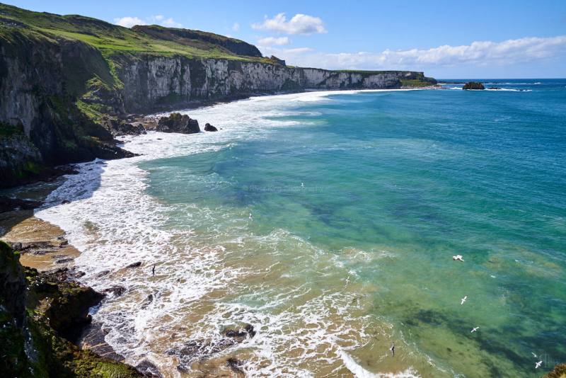 RK_180510_A7RIII_007230