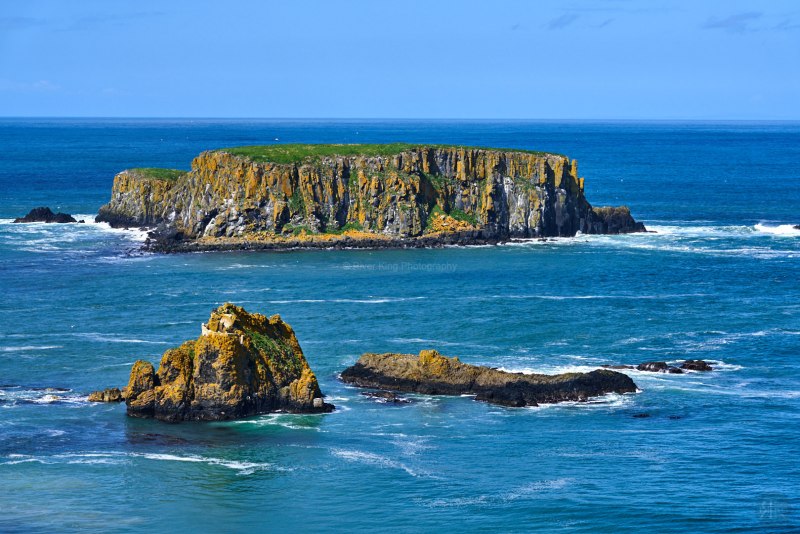 RK_180510_A7RIII_007265