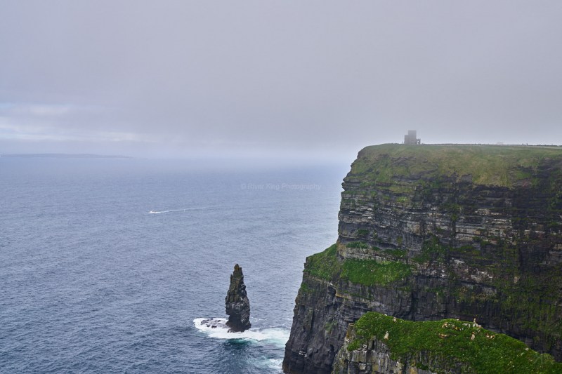 RK_180507_A7RIII_006702 RK_180507_A7RIII_006702