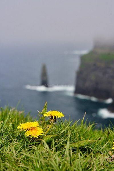 RK_180507_A7RIII_006771 RK_180507_A7RIII_006771