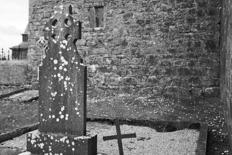 RK_180507_A7RIII_006816