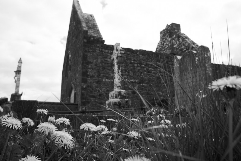 RK_180507_A7RIII_006836