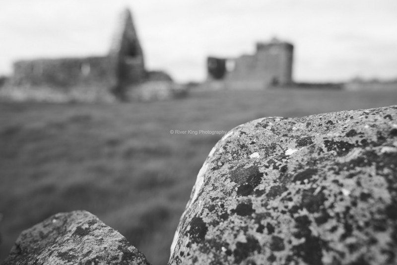 RK_180507_A7RIII_006840