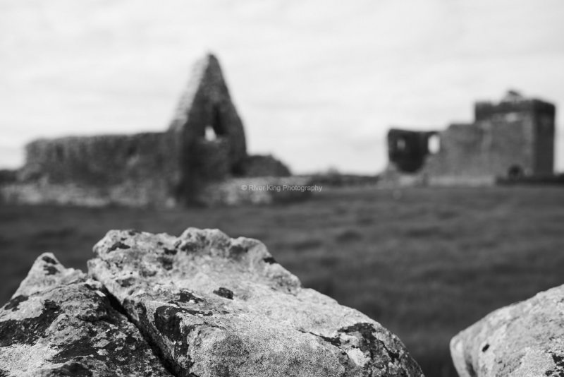 RK_180507_A7RIII_006843