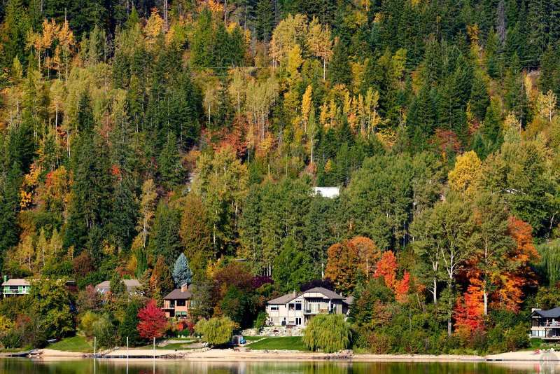 RK_181007_A7RIII_101683