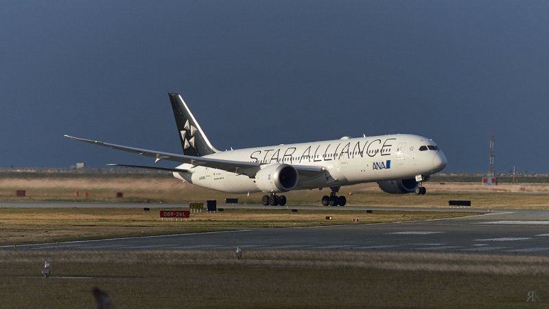 RK_190203_A7RIII_104311