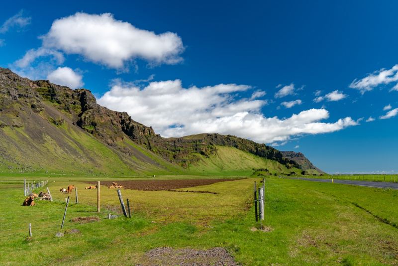 RK_190530_A7RIII_109689 RK_190530_A7RIII_109689