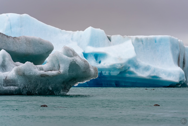 RK_190531_A7RIII_109889 RK_190531_A7RIII_109889