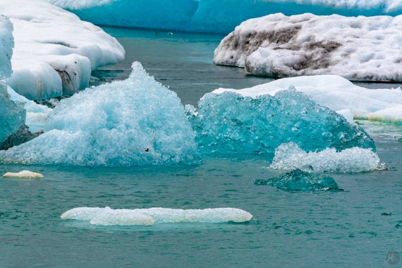 RK_190531_A7RIII_109910 RK_190531_A7RIII_109910