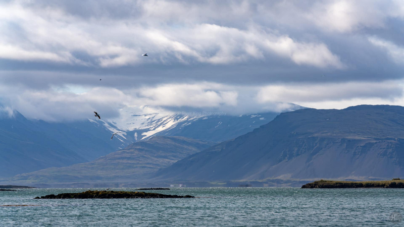 RK_190531_A7RIII_200033 RK_190531_A7RIII_200033