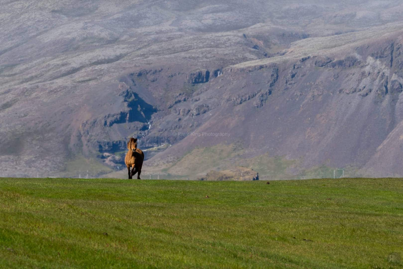 RK_190531_A7RIII_200056 RK_190531_A7RIII_200056