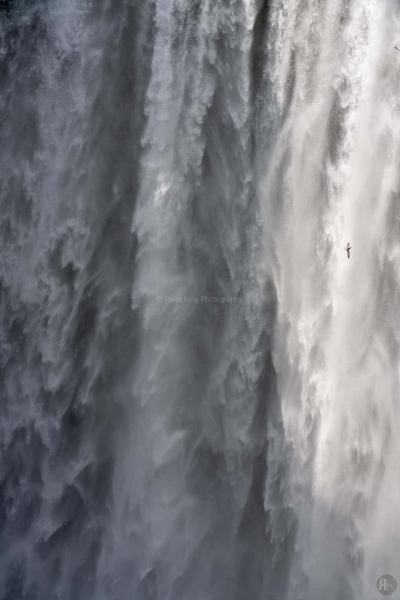 RK_190601_A7RIII_200281 RK_190601_A7RIII_200281