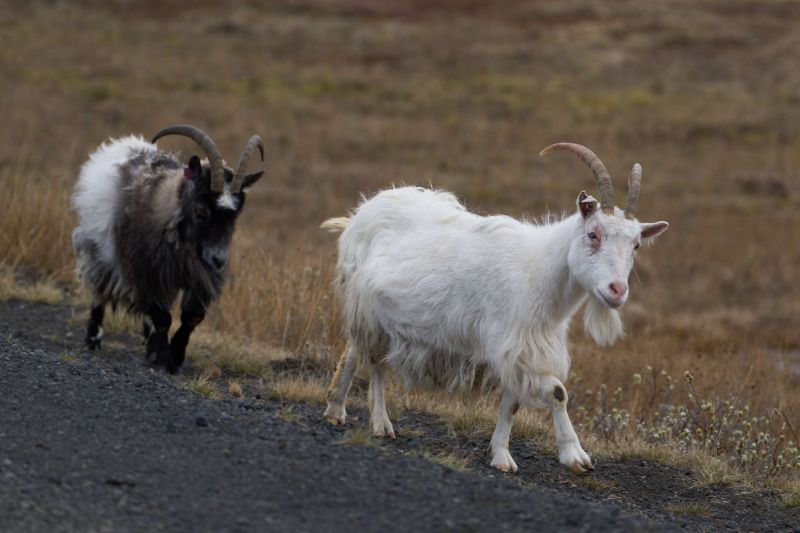 RK_220523_A1_034568 RK_220523_A1_034568