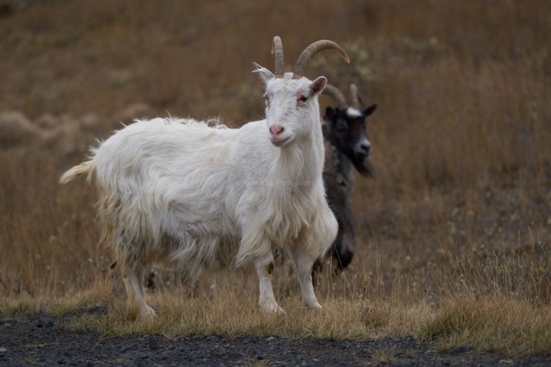 RK_220523_A1_034574 RK_220523_A1_034574