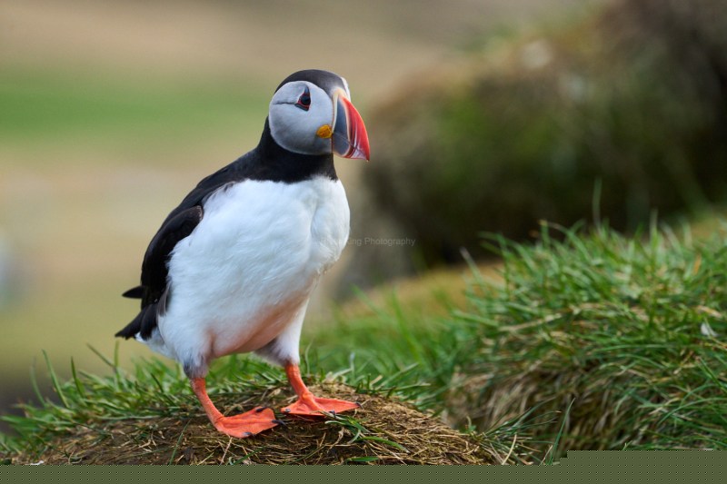 RK_220524_A1_034787 RK_220524_A1_034787