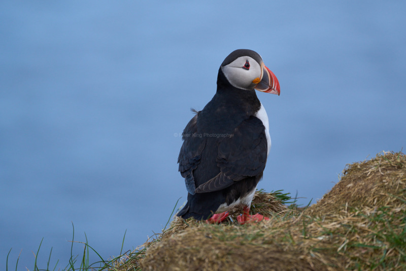 RK_220524_A1_034855 RK_220524_A1_034855