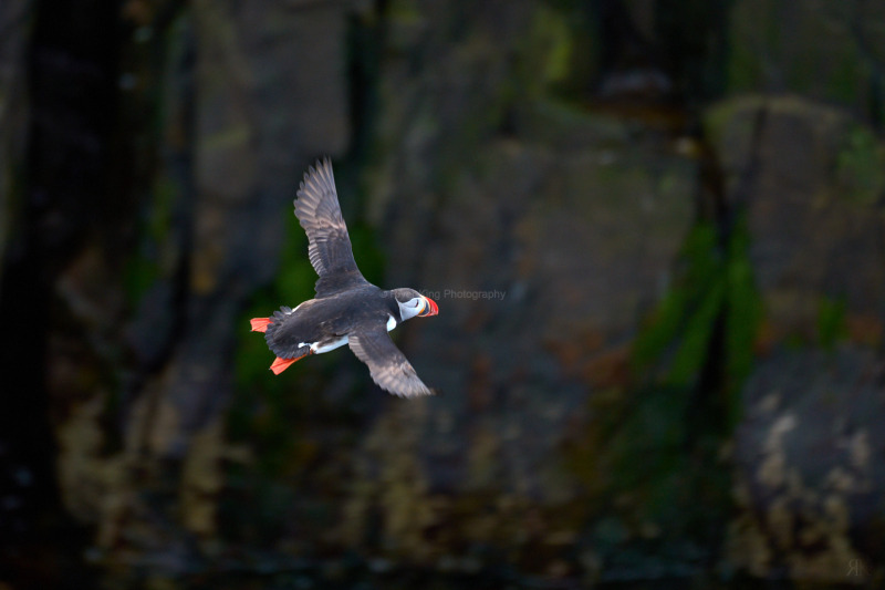 RK_220524_A1_034904 RK_220524_A1_034904