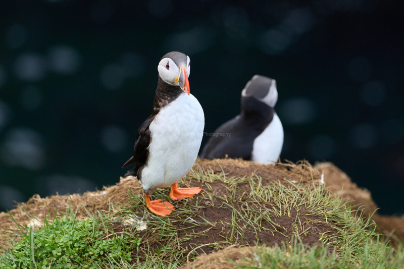 RK_220524_A1_034976 RK_220524_A1_034976