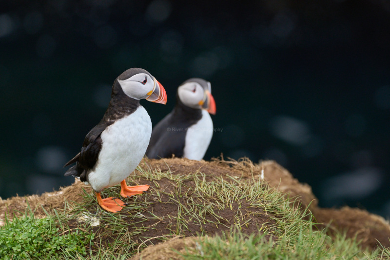 RK_220524_A1_034978 RK_220524_A1_034978