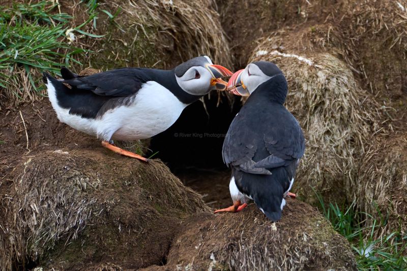 RK_220524_A1_035160 RK_220524_A1_035160