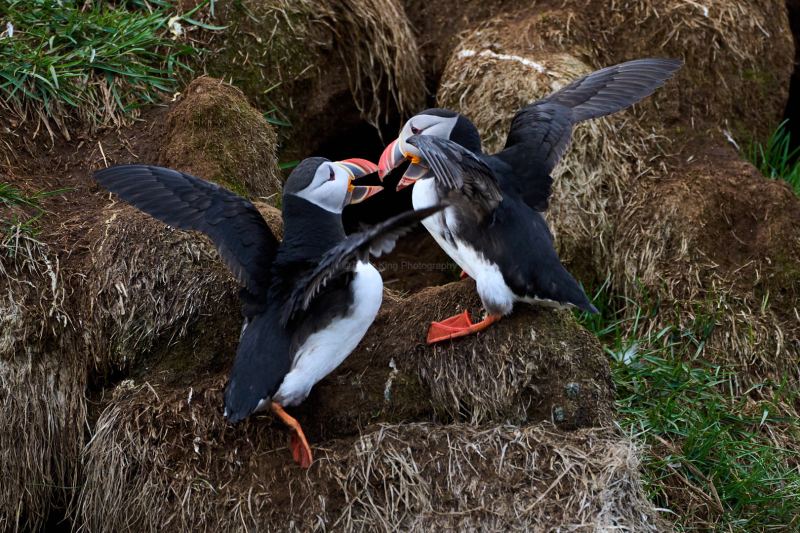 RK_220524_A1_035181 RK_220524_A1_035181