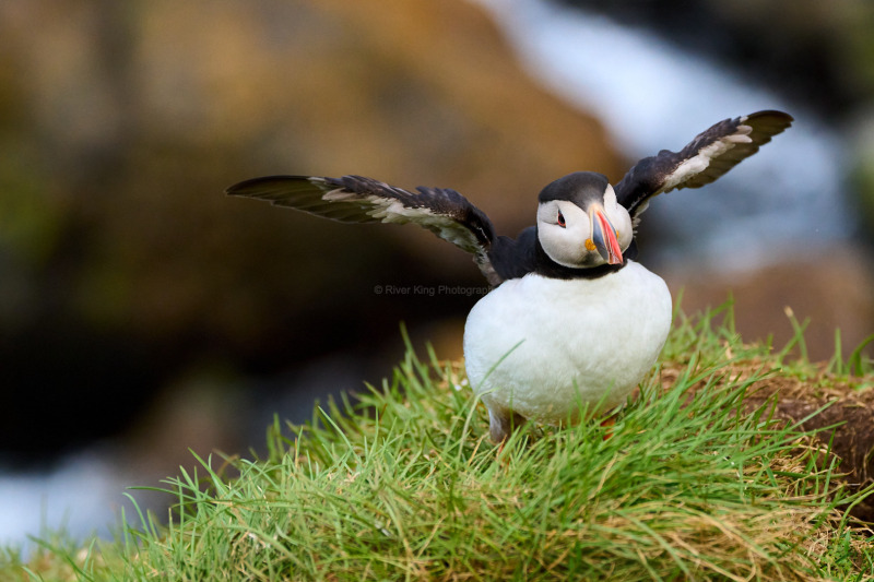 RK_220524_A1_035323 RK_220524_A1_035323