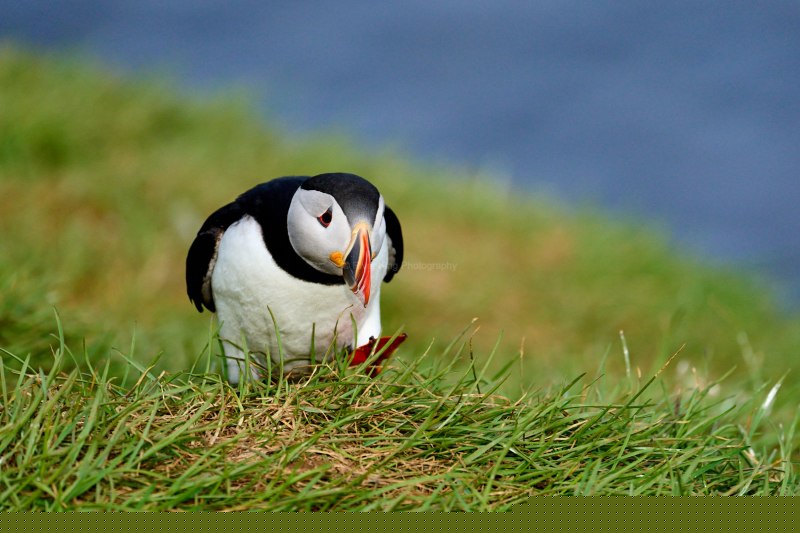 RK_220524_A1_035344 RK_220524_A1_035344