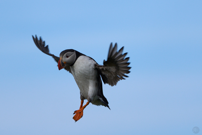 RK_220524_A1_035353 RK_220524_A1_035353