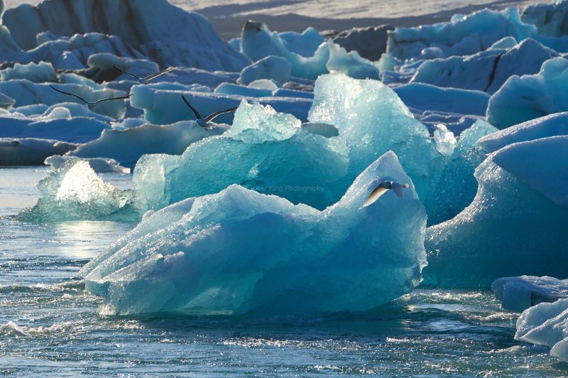 RK_220525_A1_035502 RK_220525_A1_035502