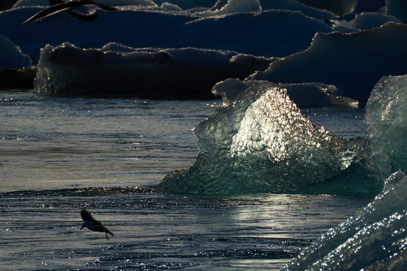 RK_220525_A1_035512 RK_220525_A1_035512