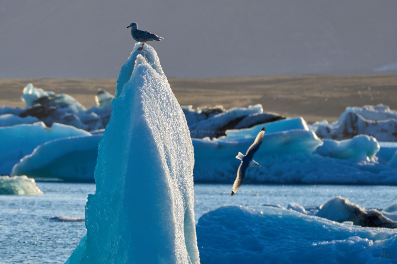 RK_220525_A1_035521 RK_220525_A1_035521