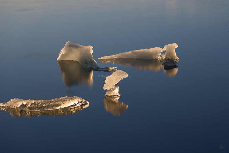 RK_220525_A1_035559 RK_220525_A1_035559