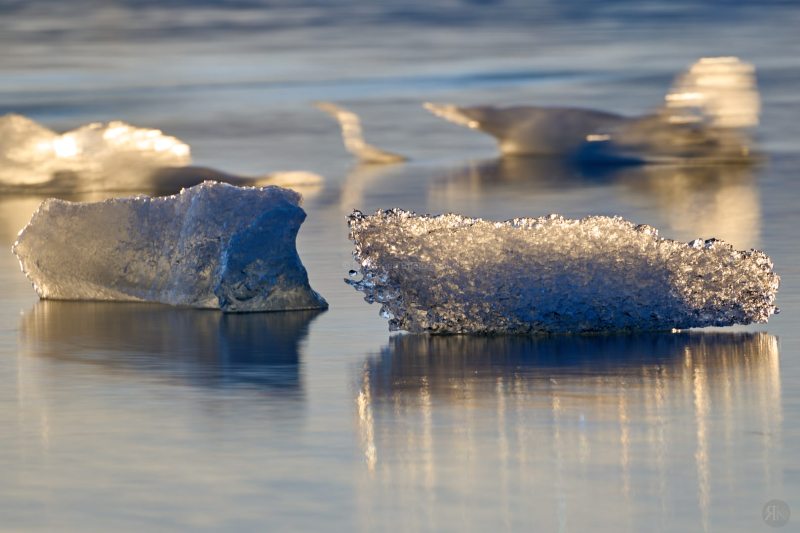 RK_220525_A1_035567 RK_220525_A1_035567