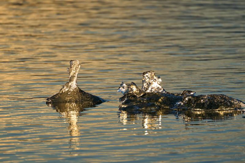 RK_220525_A1_035601 RK_220525_A1_035601