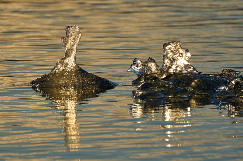 RK_220525_A1_035602 RK_220525_A1_035602