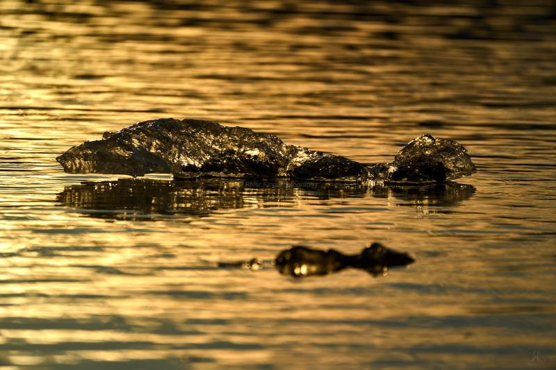 RK_220525_A1_035607 RK_220525_A1_035607