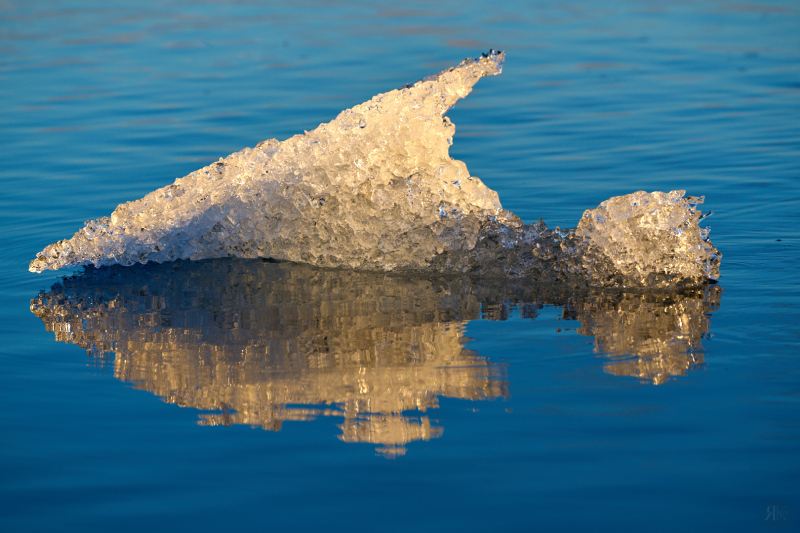 RK_220525_A1_035612 RK_220525_A1_035612