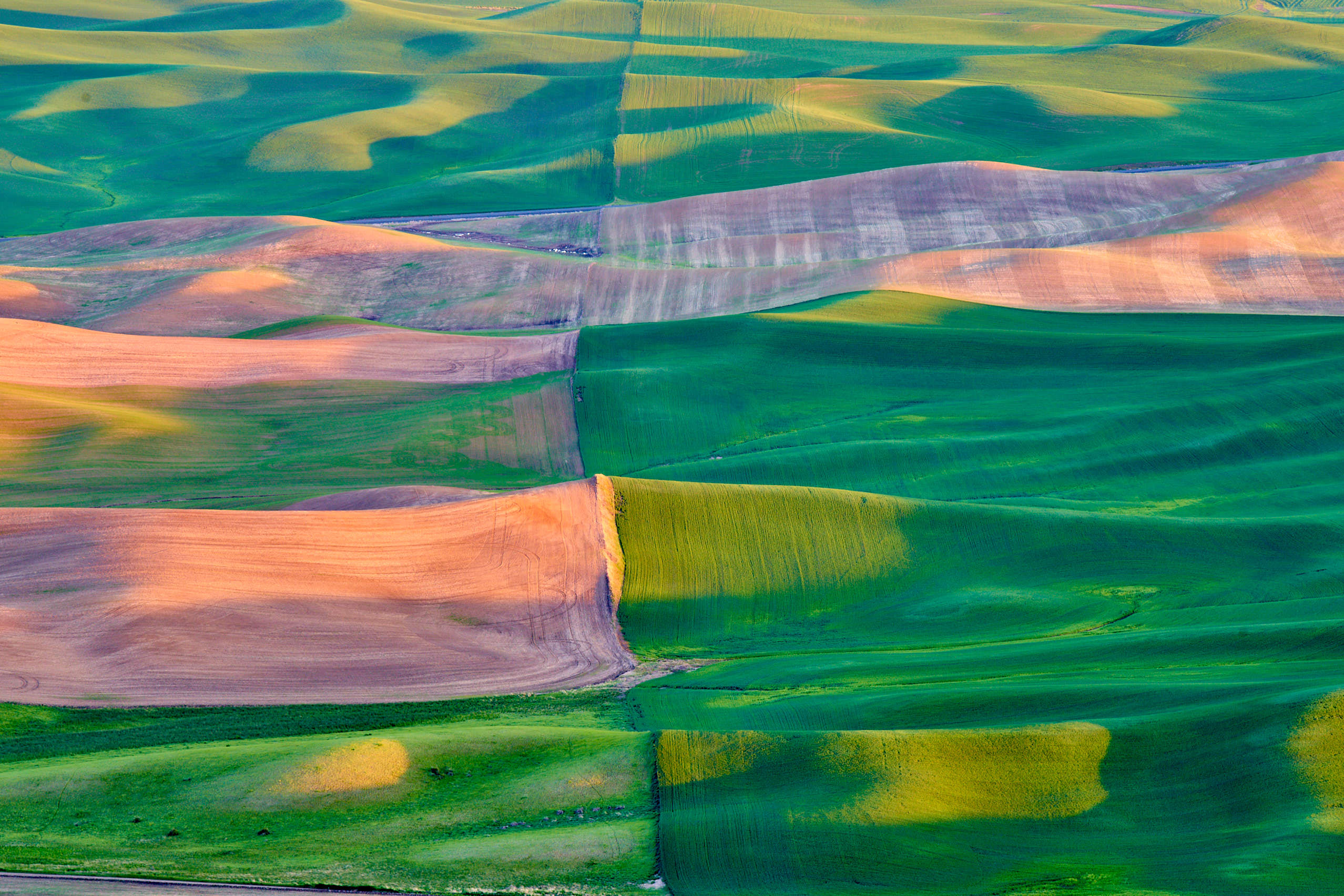 The Wheatland, USA 6 The Wheatland, USA
