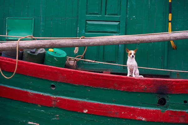 越南：下龙湾渔村